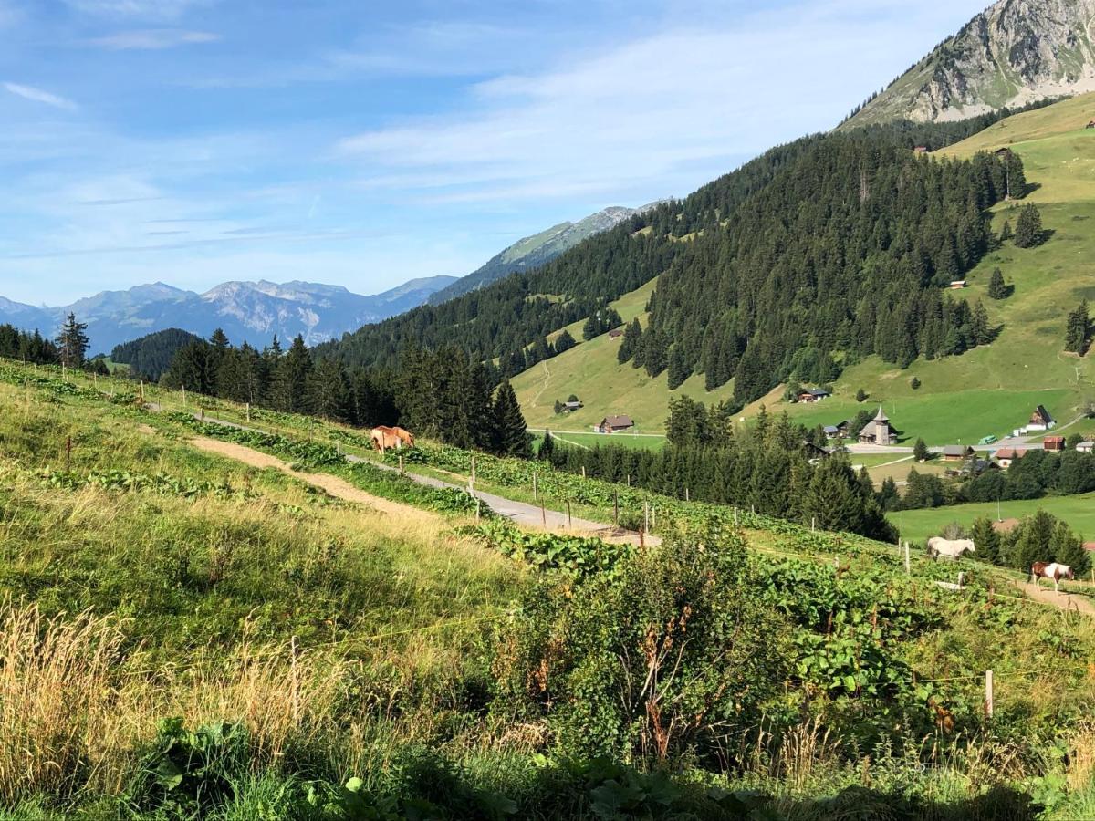 Alpine Dream Chalet With Spa Close To Lake Geneva Les Mosses Exterior foto