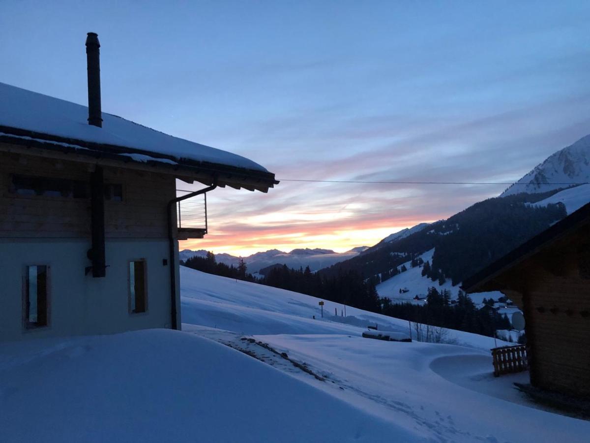 Alpine Dream Chalet With Spa Close To Lake Geneva Les Mosses Exterior foto
