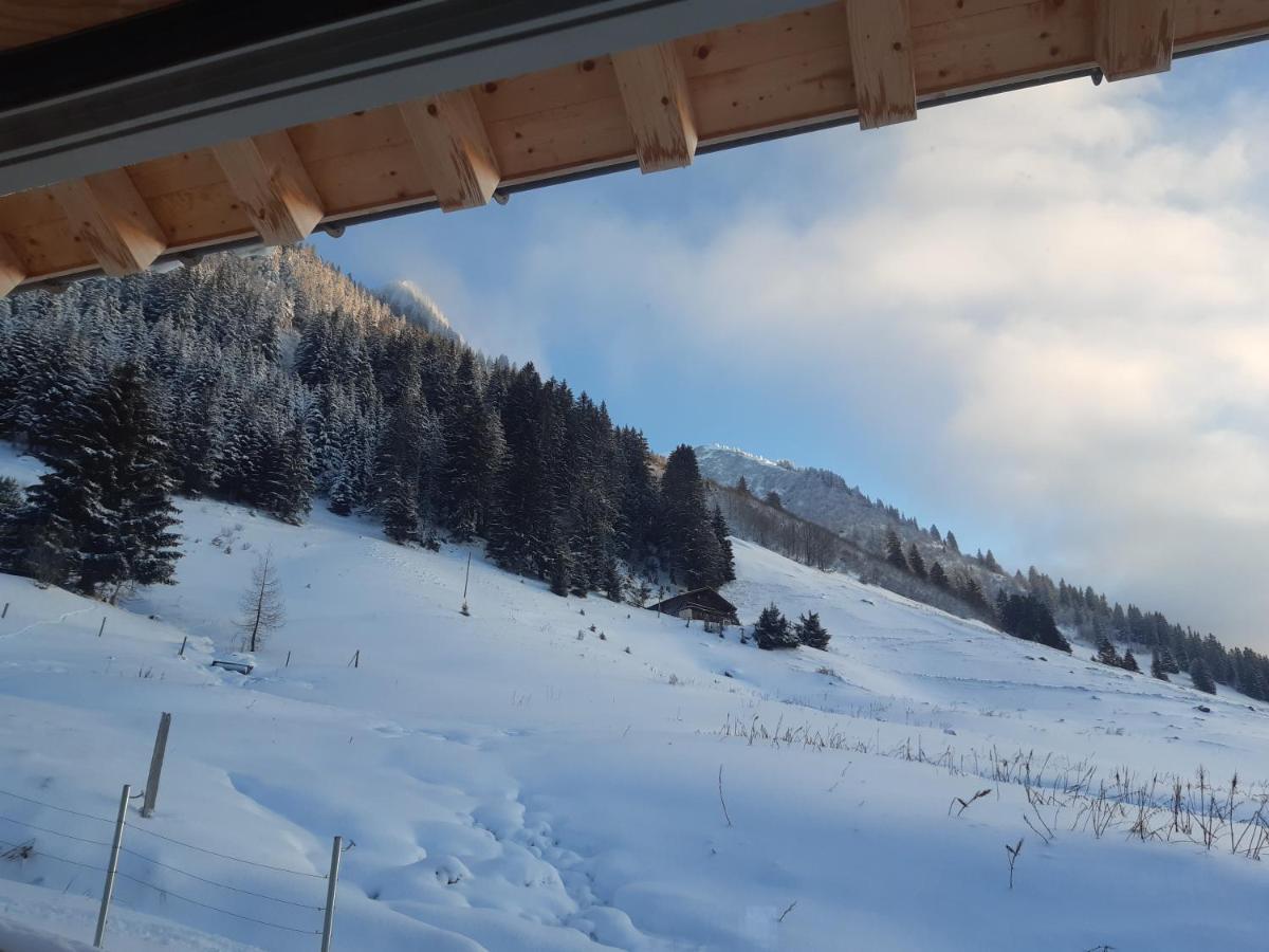 Alpine Dream Chalet With Spa Close To Lake Geneva Les Mosses Exterior foto
